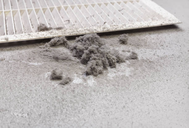 Best Duct Cleaning Specialists  in Wausau, WI